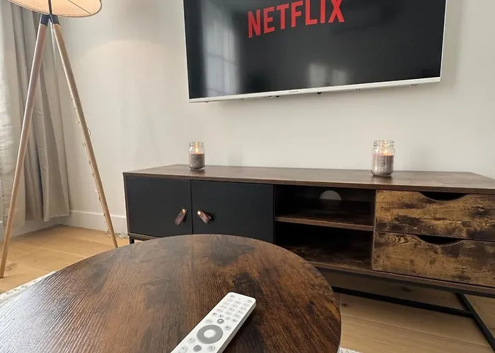 El Castillo Face Au Château Et Climatisé * Surgères